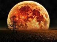images_185